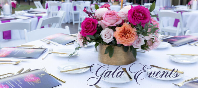 13 Gala Logo